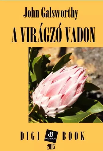 John Galsworthy - A virágzó vadon (e-könyv)