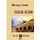 Bársony István - Szelek útján (e-könyv)