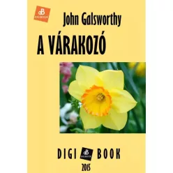 John Galsworthy - A várakozó (e-könyv)
