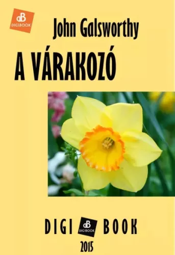 John Galsworthy - A várakozó (e-könyv)