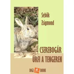 Sebők Zsigmond - Cserebogár úrfi a tengeren (e-könyv)