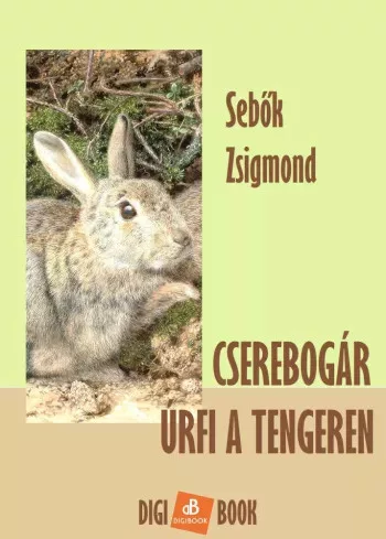 Sebők Zsigmond - Cserebogár úrfi a tengeren (e-könyv)