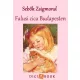 Sebők Zsigmond - Falusi cica Budapesten (e-könyv)
