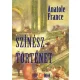 Anatole France - Színésztörténet (e-könyv)