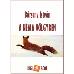 Bársony István - A néma völgyben (e-könyv)