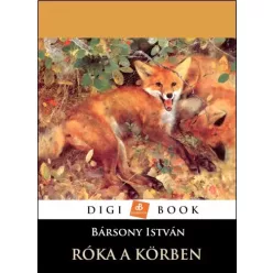 Bársony István - Róka a körben (e-könyv)