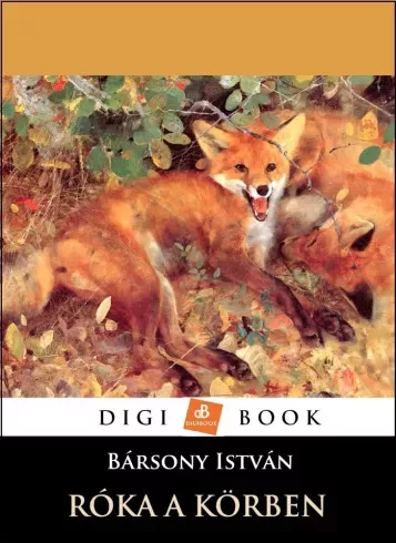 Bársony István - Róka a körben (e-könyv)