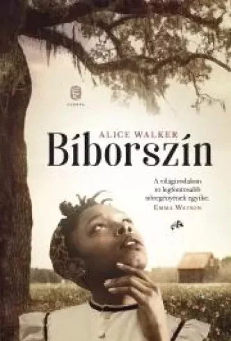 Alice Walker - Bíborszín (e-könyv)