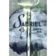 Garth Nix - Sabriel (e-könyv)
