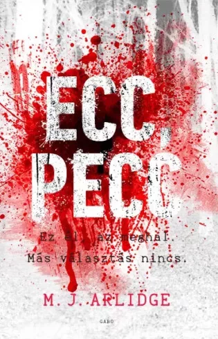 M. J. Arlidge - Ecc, pecc (e-könyv)