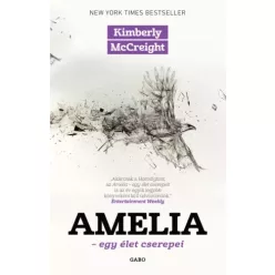 Kimberly McCreight - Amelia (e-könyv)