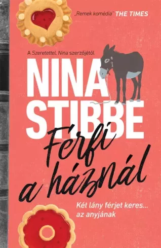 Nina Stibbe - Férfi a háznál (e-könyv)