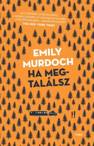 Emily Murdoch - Ha megtalálsz (e-könyv)