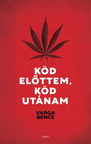 Varga Bence - Köd előttem, köd utánam (e-könyv)