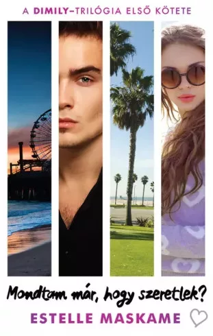 Estelle Maskame - Mondtam már, hogy szeretlek? (e-könyv)