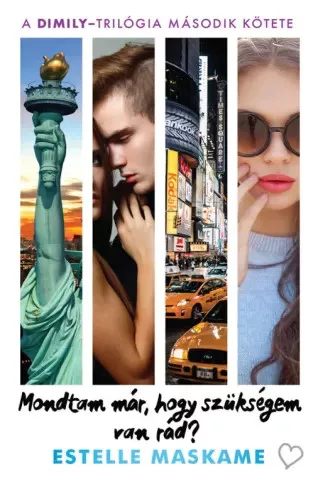 Estelle Maskame - Mondtam már, hogy szükségem van rád? (e-könyv)