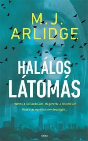 M. J. Arlidge - Halálos látomás (e-könyv)