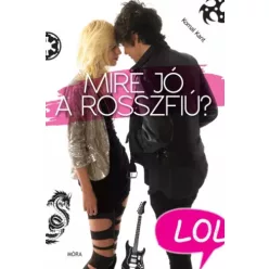 Komal Kant - Mire jó a rosszfiú? (e-könyv)