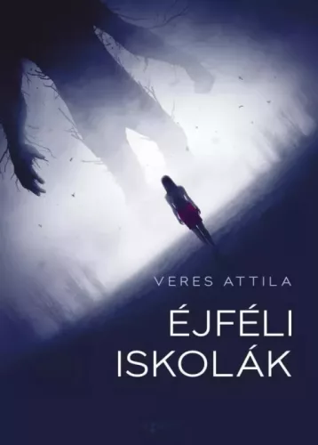Veres Attila - Éjféli iskolák (e-könyv)