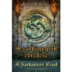 Bökös Borbála - A sárkánygyík ébredése (e-könyv)