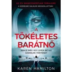 Karen Hamilton - A tökéletes barátnő (e-könyv)