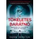 Karen Hamilton - A tökéletes barátnő (e-könyv)