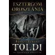 Bónizs Róbert - Esztergom oroszlánja (e-könyv)