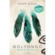 Papp Dóra - Bolyongó (e-könyv)