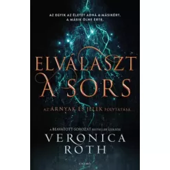 Veronica Roth - Elválaszt a sors (e-könyv)