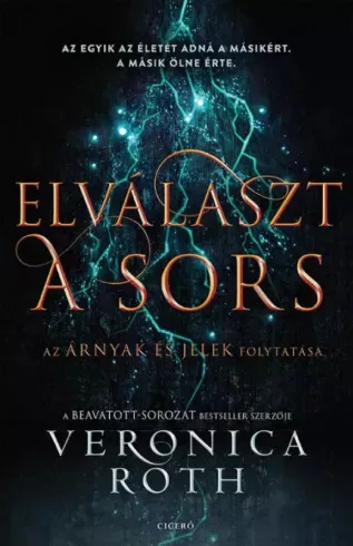 Veronica Roth - Elválaszt a sors (e-könyv)