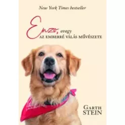 Garth Stein - Enzo (e-könyv)