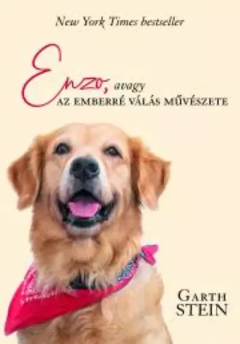 Garth Stein - Enzo (e-könyv)