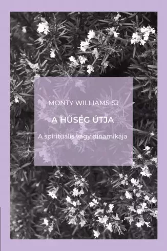 SJ Monty Williams - A hűség útja (e-könyv)