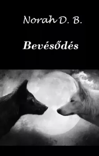Norah D. B. - Bevésődés (e-könyv)