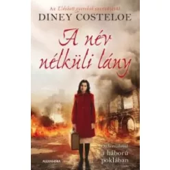 Diney Costeloe - A név nélküli lány (e-könyv)