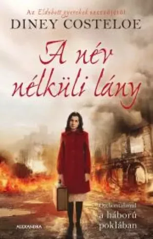 Diney Costeloe - A név nélküli lány (e-könyv)