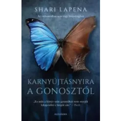Shari Lapena - Karnyújtásnyira a gonosztól (e-könyv)
