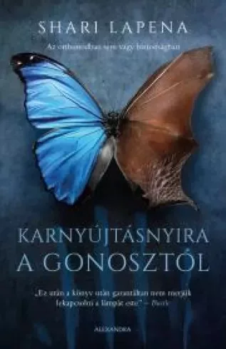 Shari Lapena - Karnyújtásnyira a gonosztól (e-könyv)