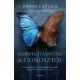 Shari Lapena - Karnyújtásnyira a gonosztól (e-könyv)