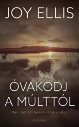 Joy Ellis - Óvakodj a múlttól (e-könyv)