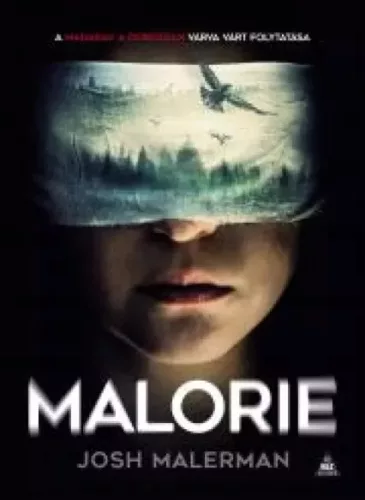 Josh Malerman - Malorie (e-könyv)