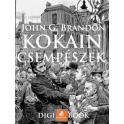 John Brandon - Kokain-csempészek (e-könyv)