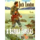 Jack London - A barna farkas (e-könyv)
