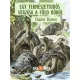 Charles Darwin - Egy természettudós utazásaia Föld körül (e-könyv)