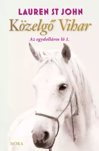 Lauren St. John - Közelgő vihar (e-könyv)