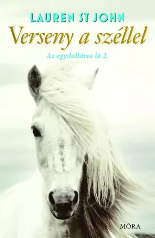 Lauren St. John - Verseny a széllel (e-könyv)
