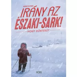 Sophie Blitman - Irány az Északi-sark (e-könyv)