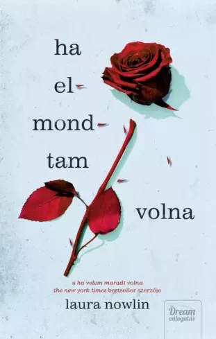 Laura Nowlin - Ha elmondtam volna (e-könyv)