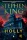 Stephen King - Holly (e-könyv)