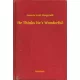 Francis Scott Fitzgerald - He Thinks He's Wonderful (e-könyv)